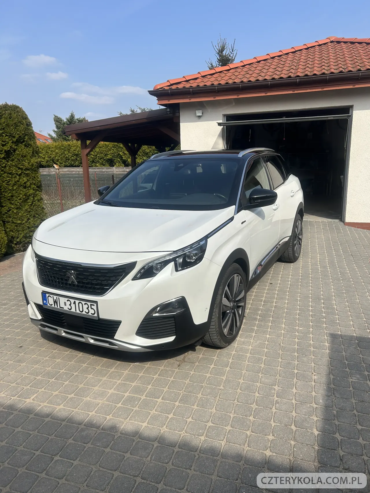 Peugeot- 3008- 2019 
