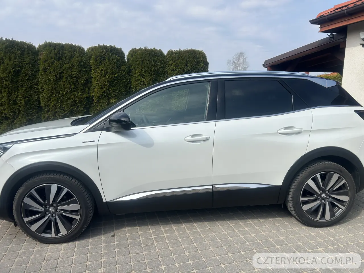 Peugeot- 3008- 2019 
