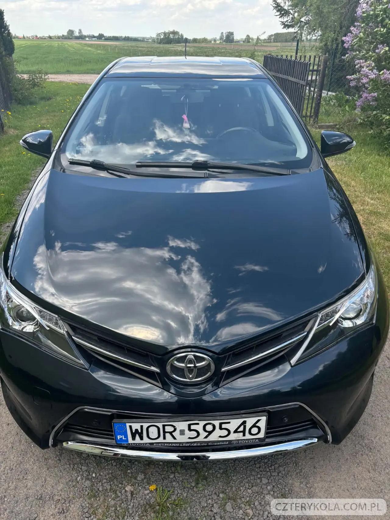 Toyota- Auris- 2013 