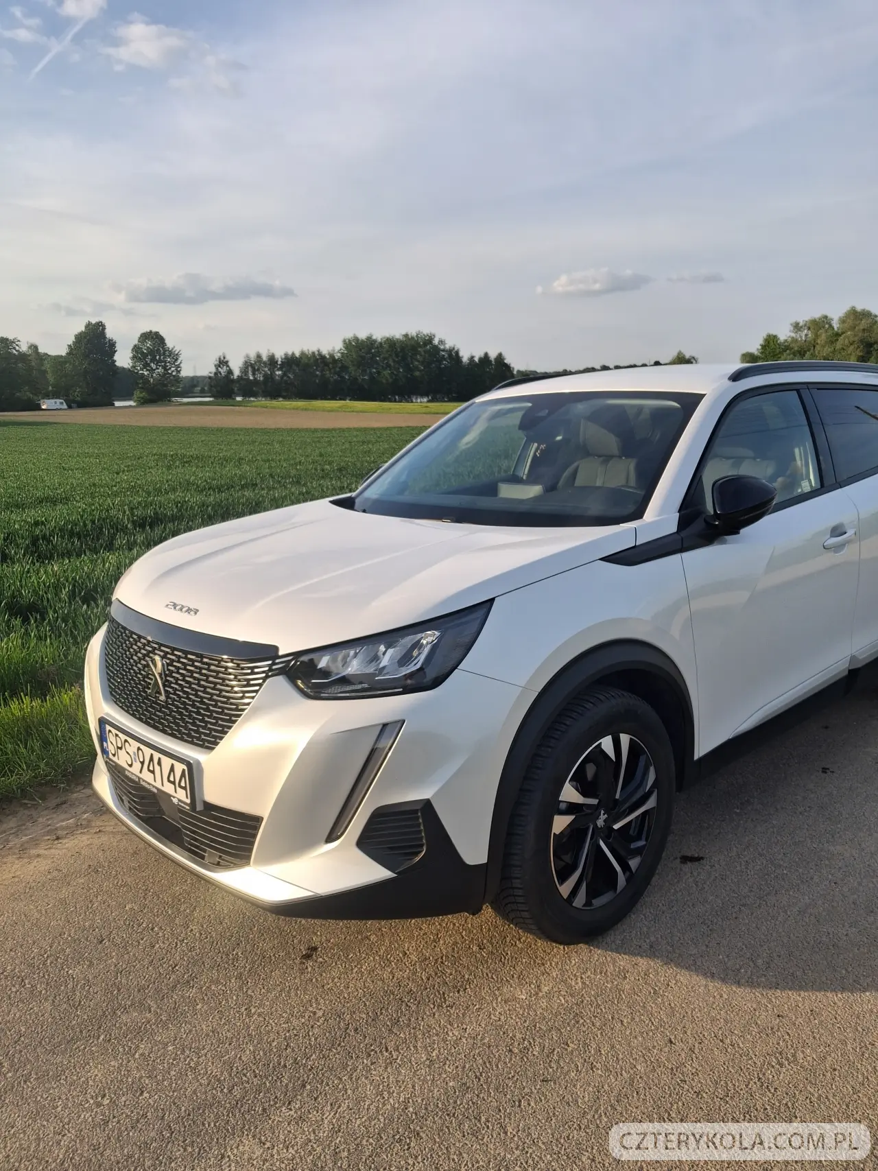 Peugeot- 2008- 2022 