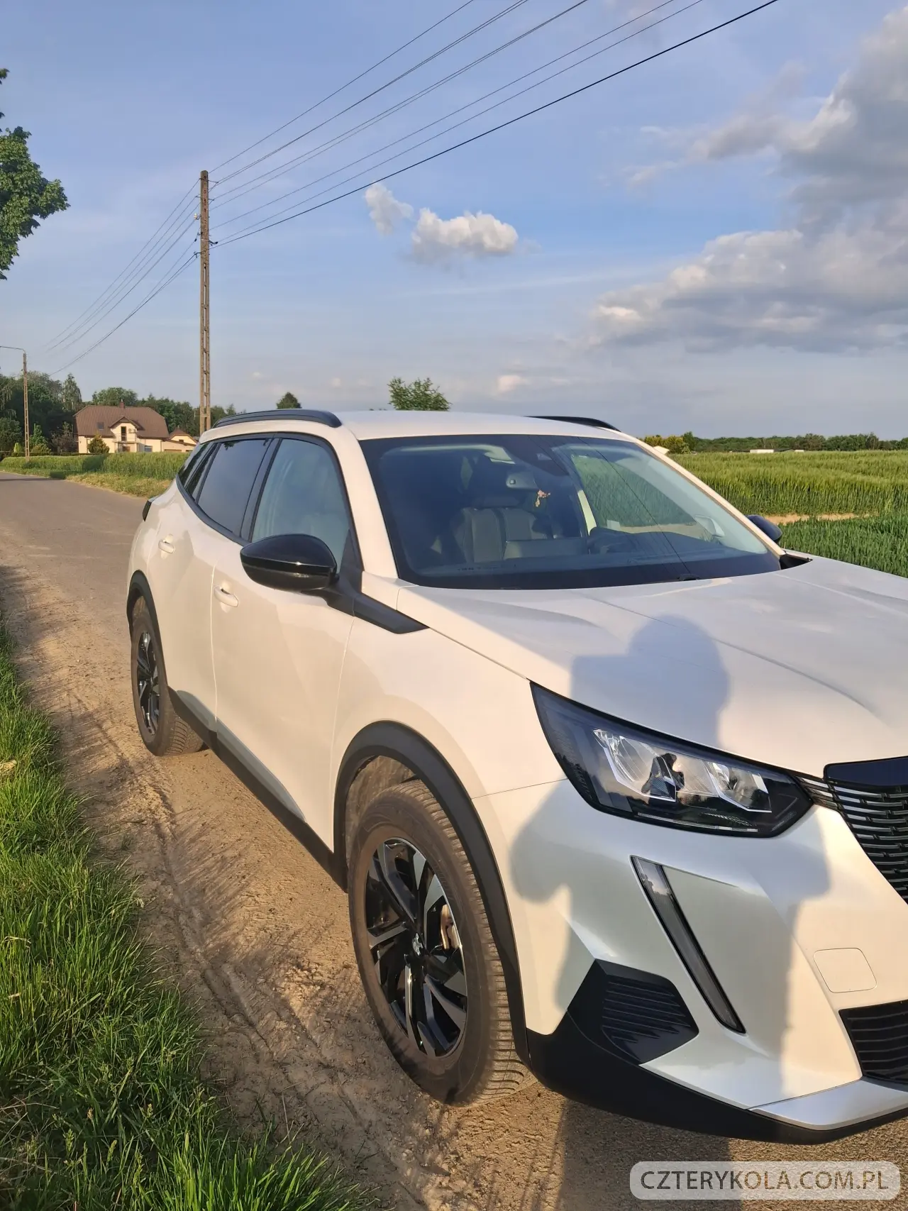 Peugeot- 2008- 2022 