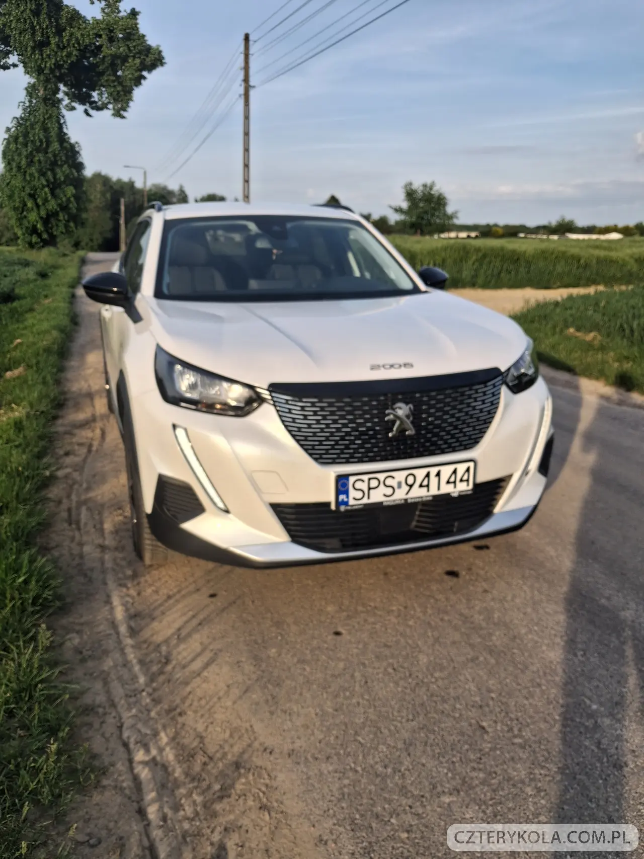 Peugeot- 2008- 2022 