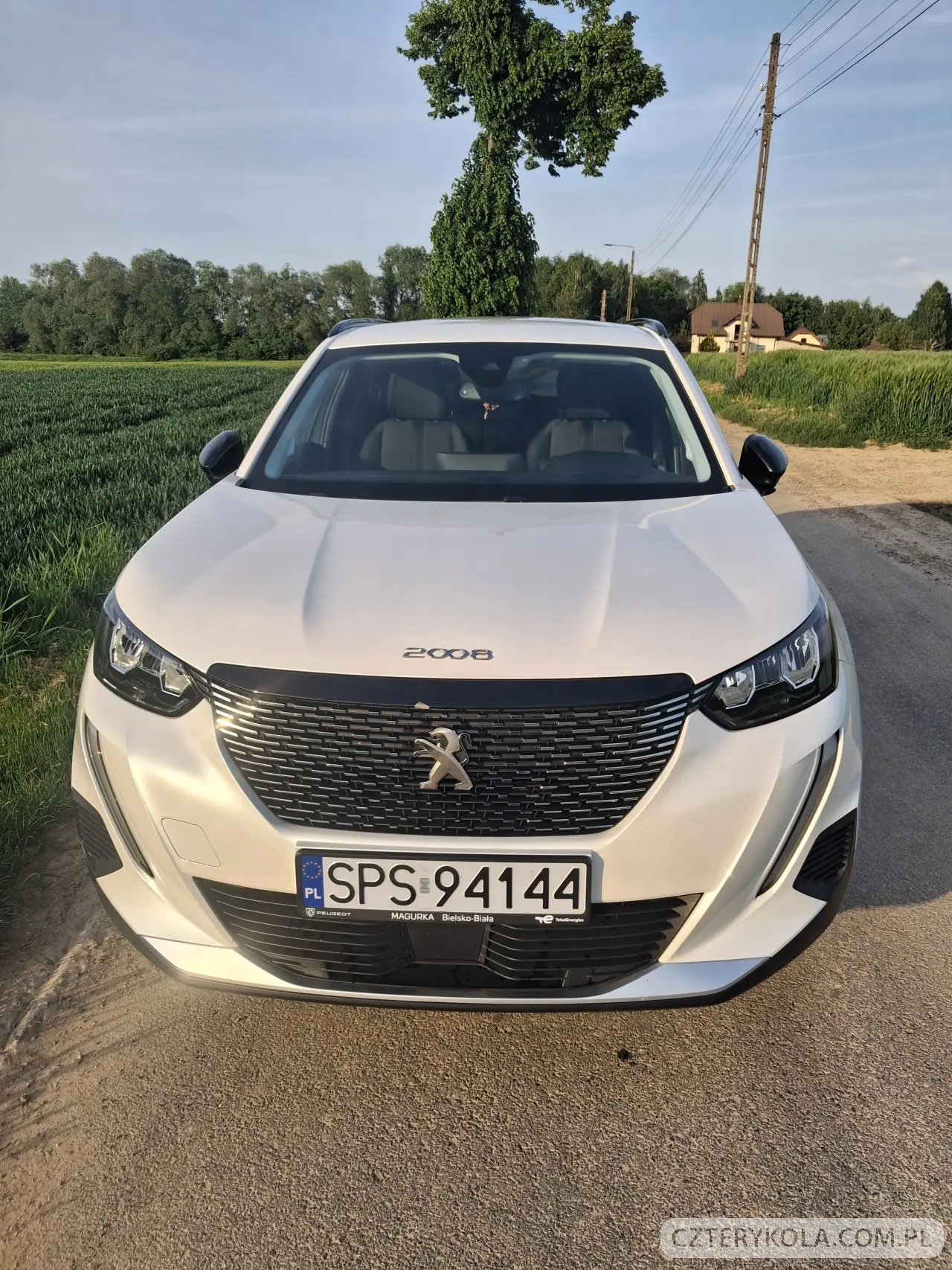 Peugeot- 2008- 2022 