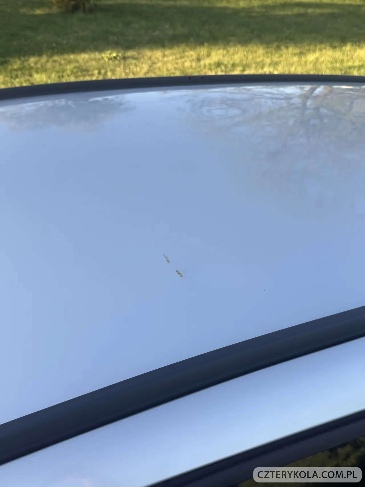 Opel- Insignia- 2011 
