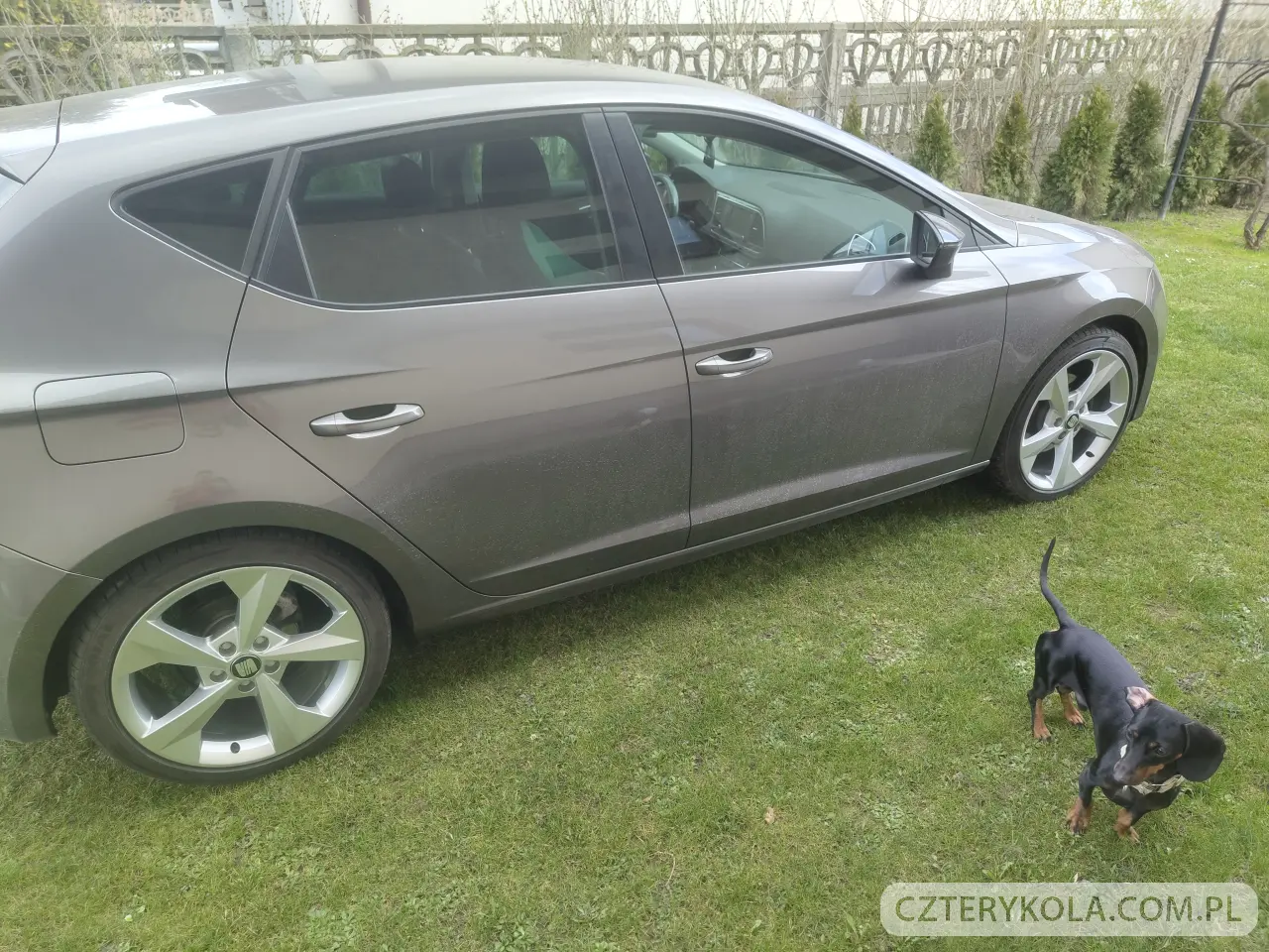 Seat- Leon- 2015 