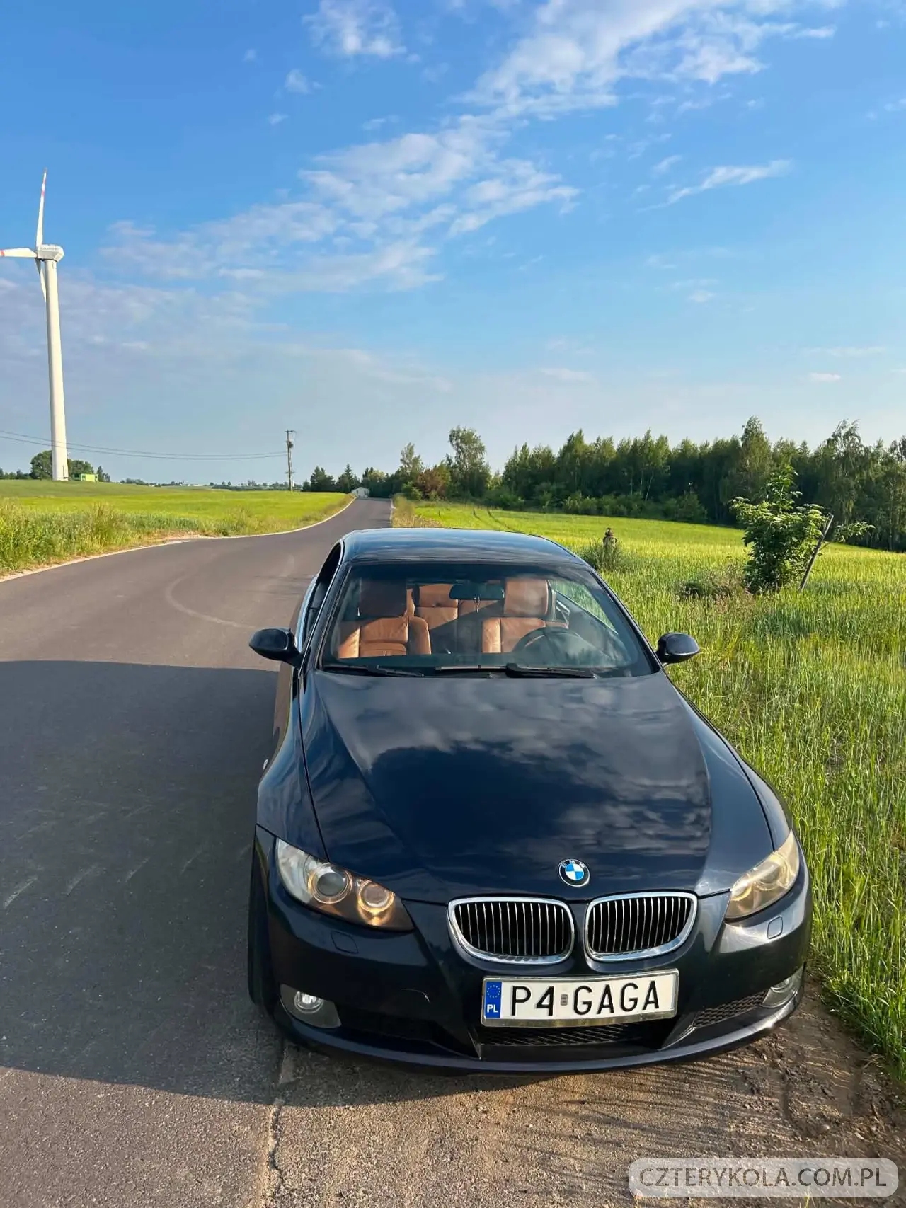 BMW- Seria 3- 2008 