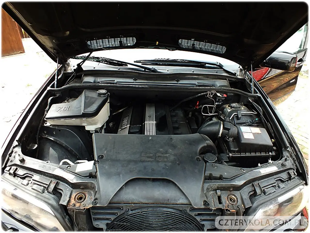 BMW- X5- 2001 
