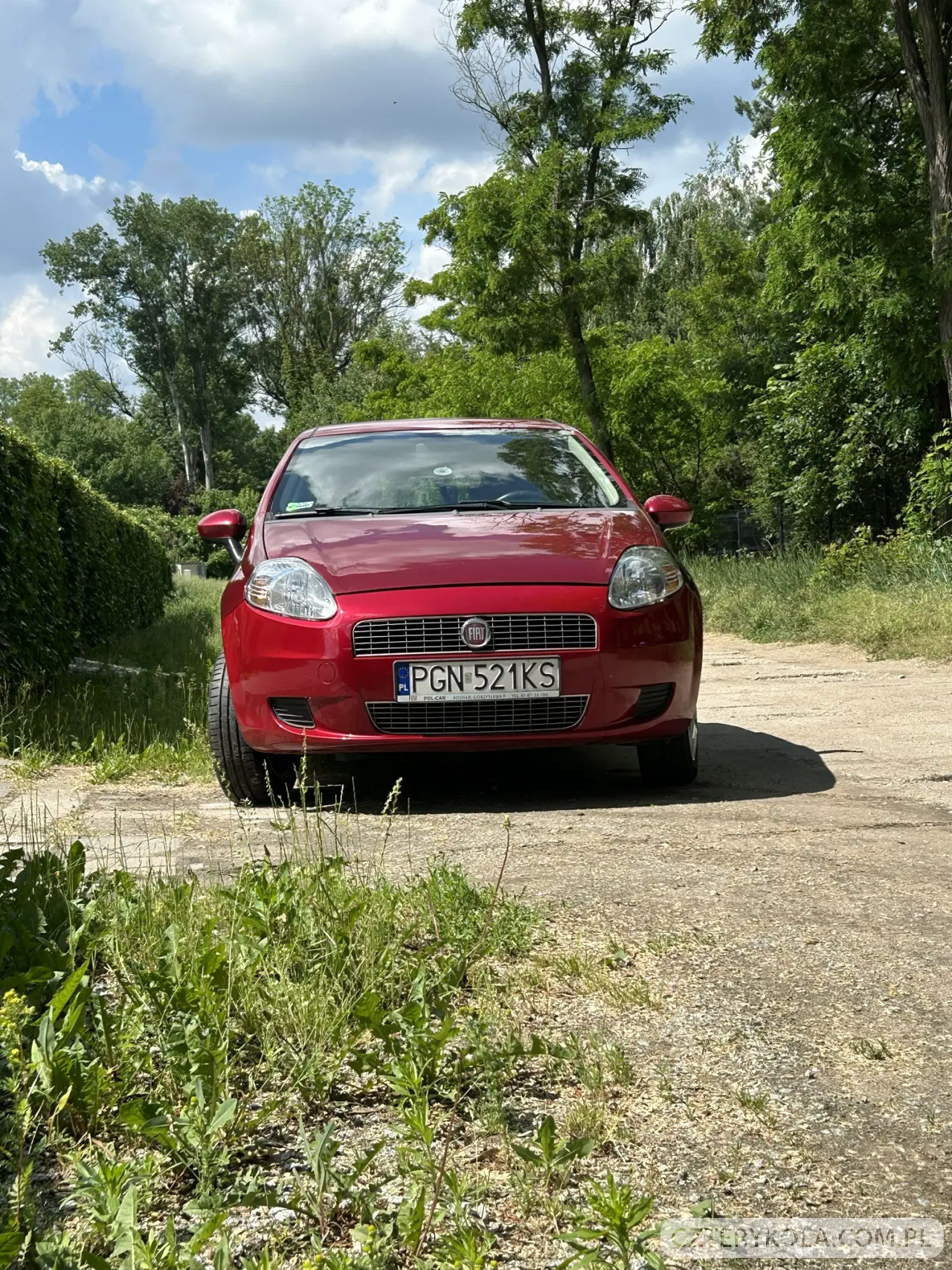 Fiat- Punto- 2009 