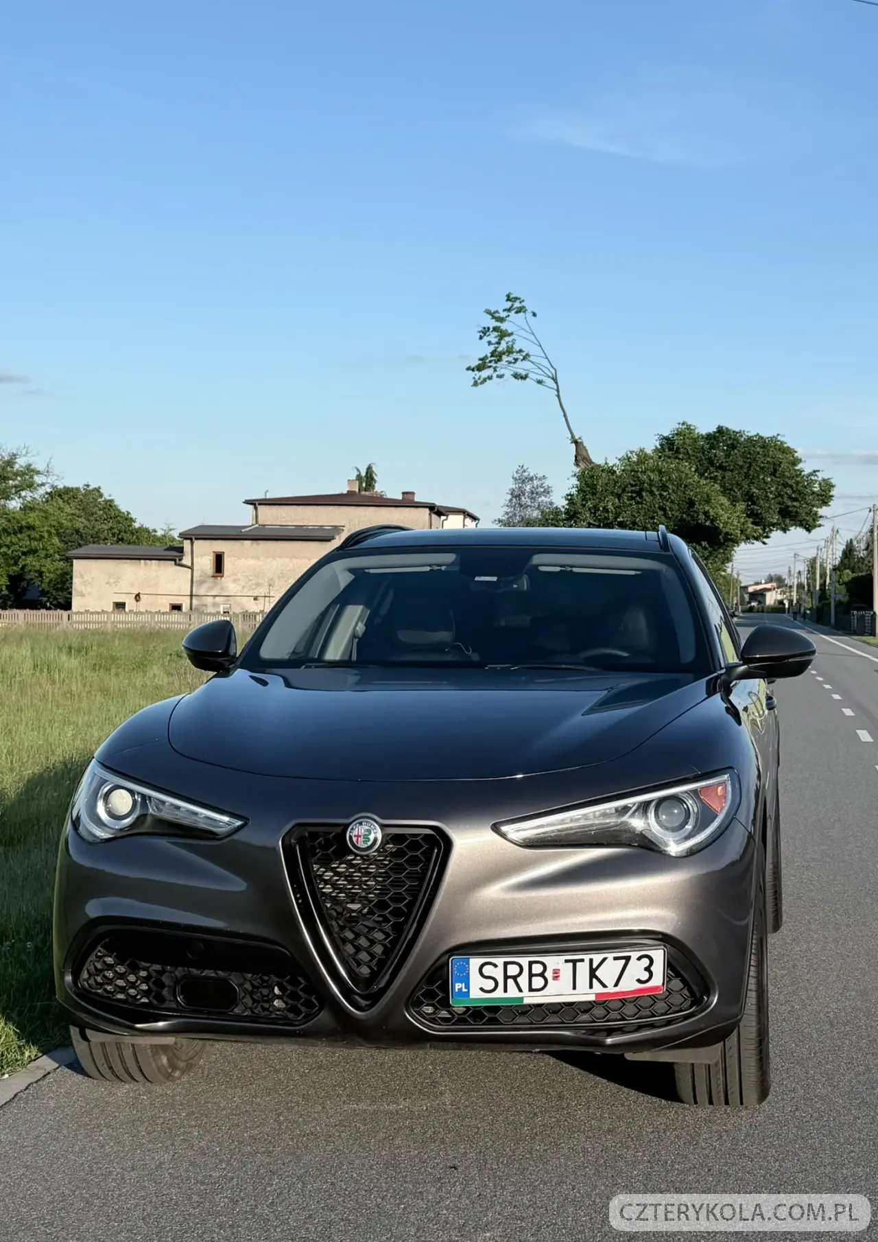 Alfa Romeo- Stelvio- 2019 