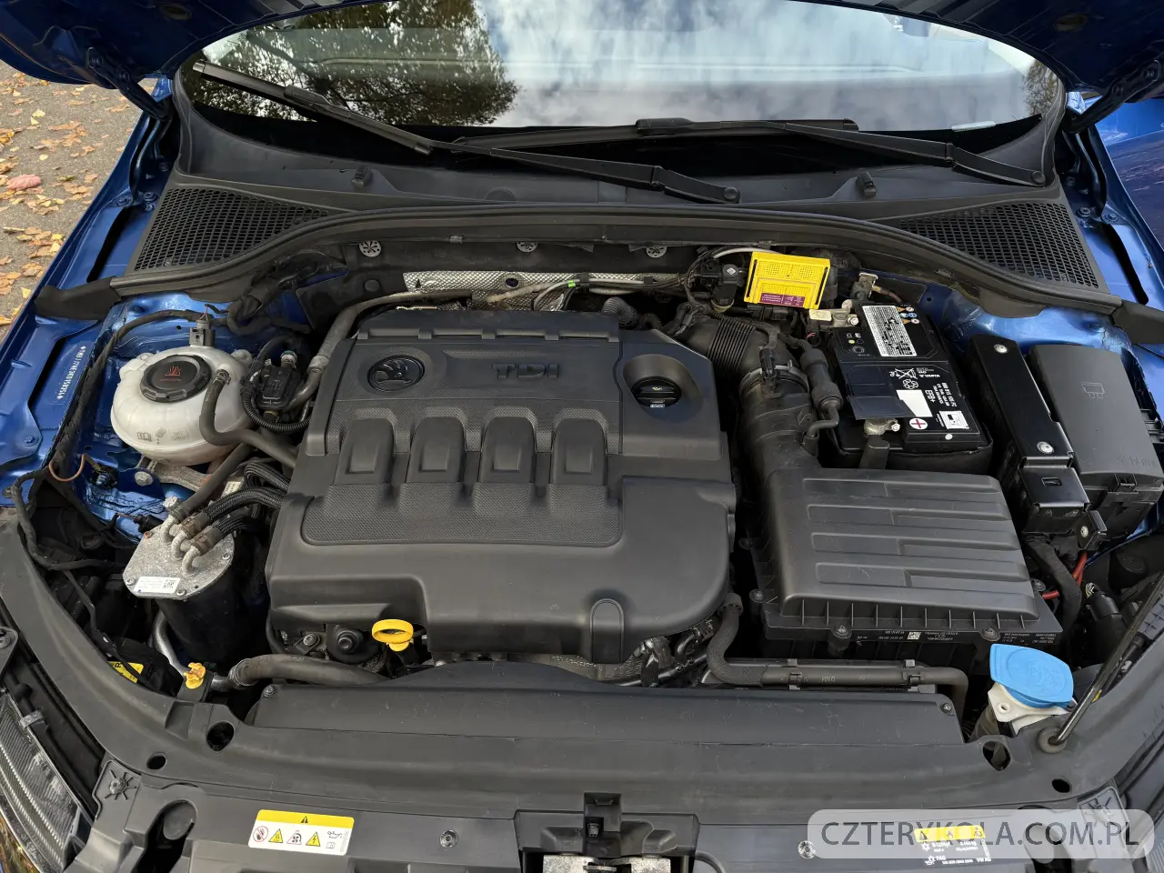 Skoda- Octavia- 2019 