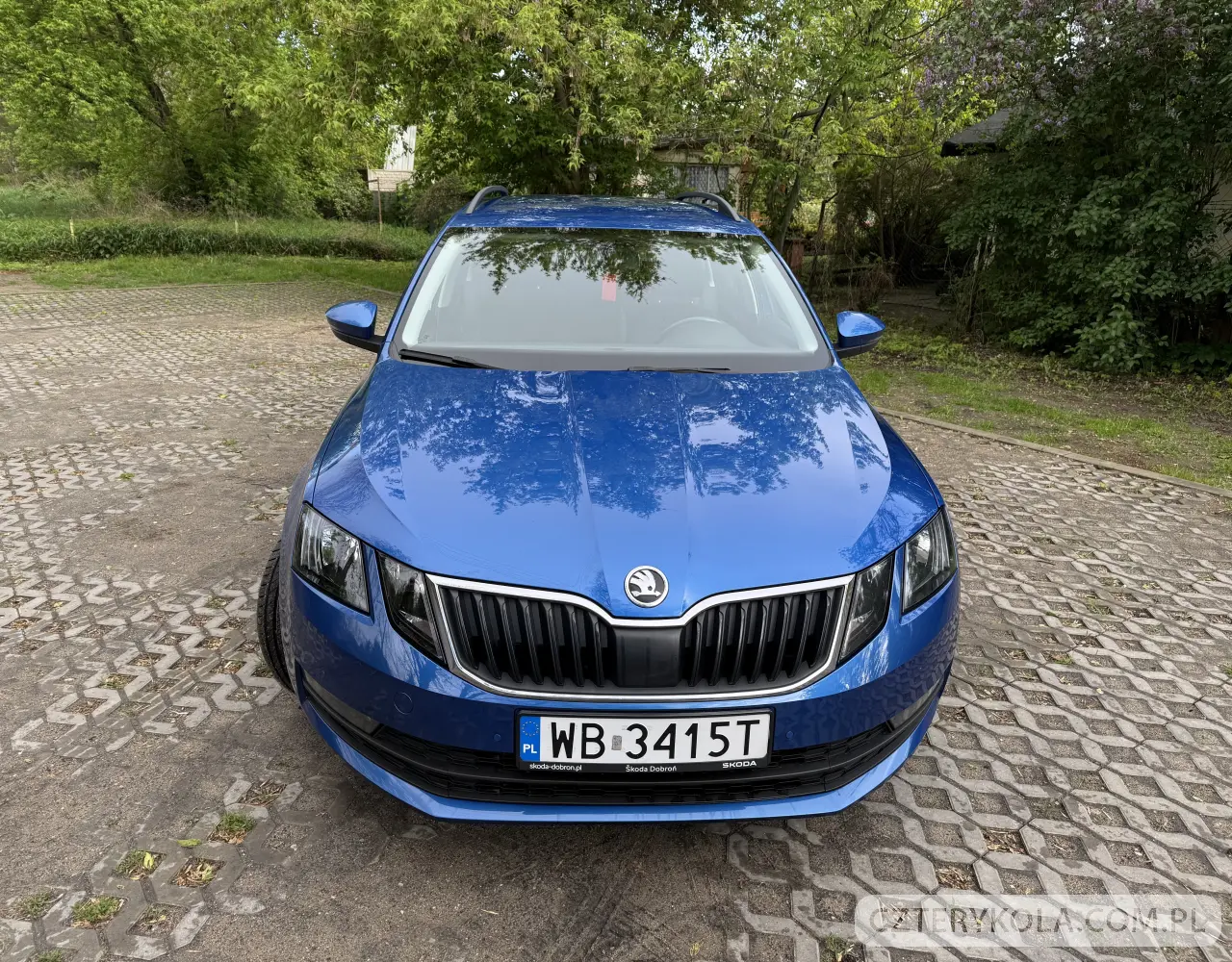 Skoda- Octavia- 2019 