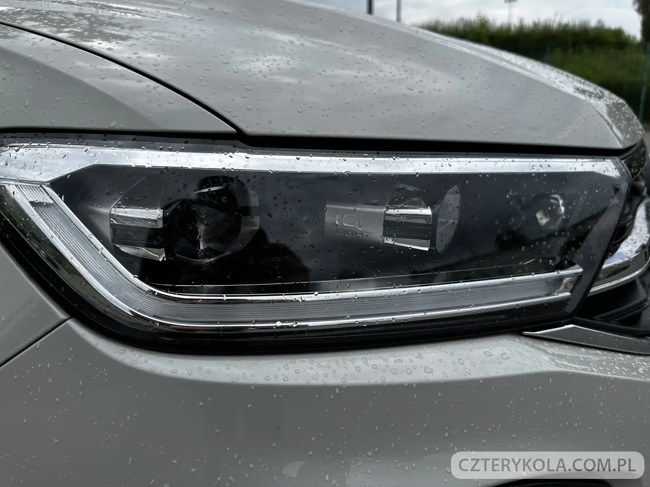 Volkswagen- T-Roc- 2024 