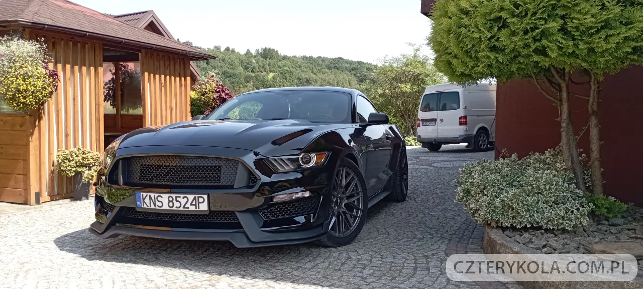 Ford- Mustang- 2016 