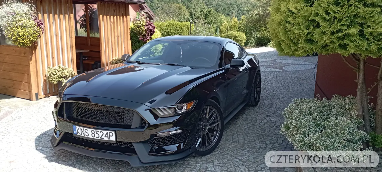 Ford- Mustang- 2016 