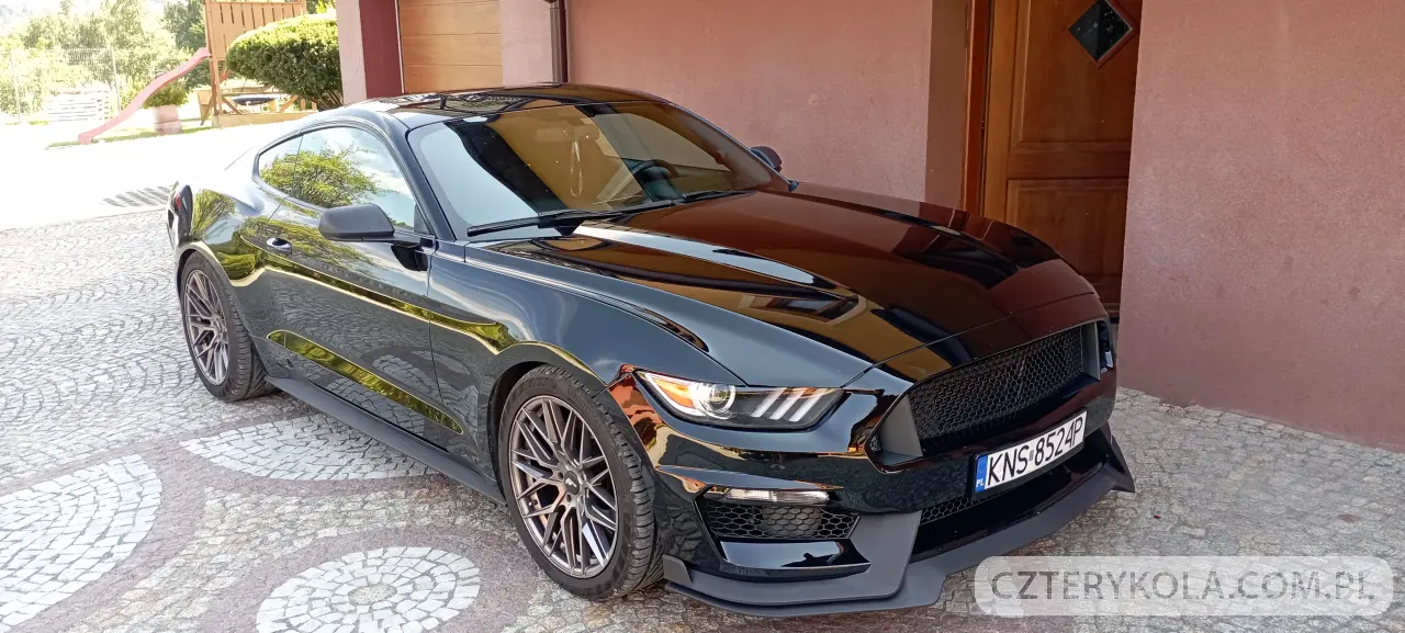 Ford- Mustang- 2016 
