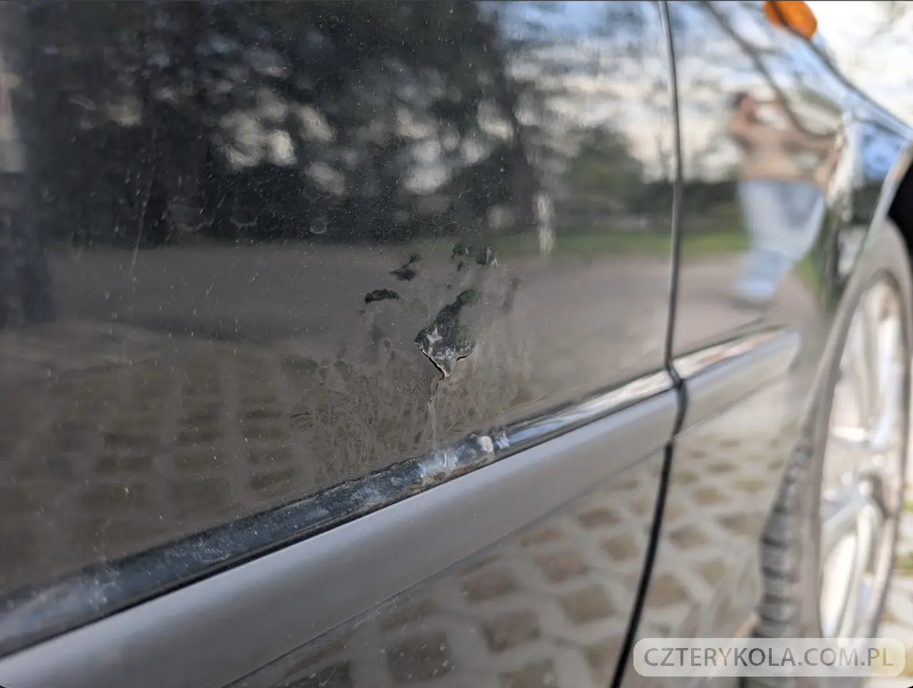BMW- Seria 3- 2004 