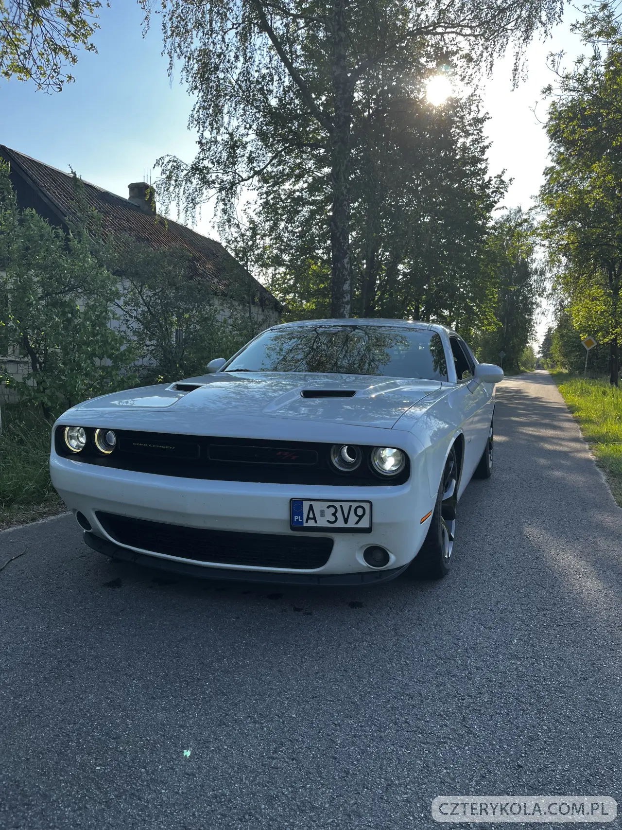 Dodge- Challenger- 2015 