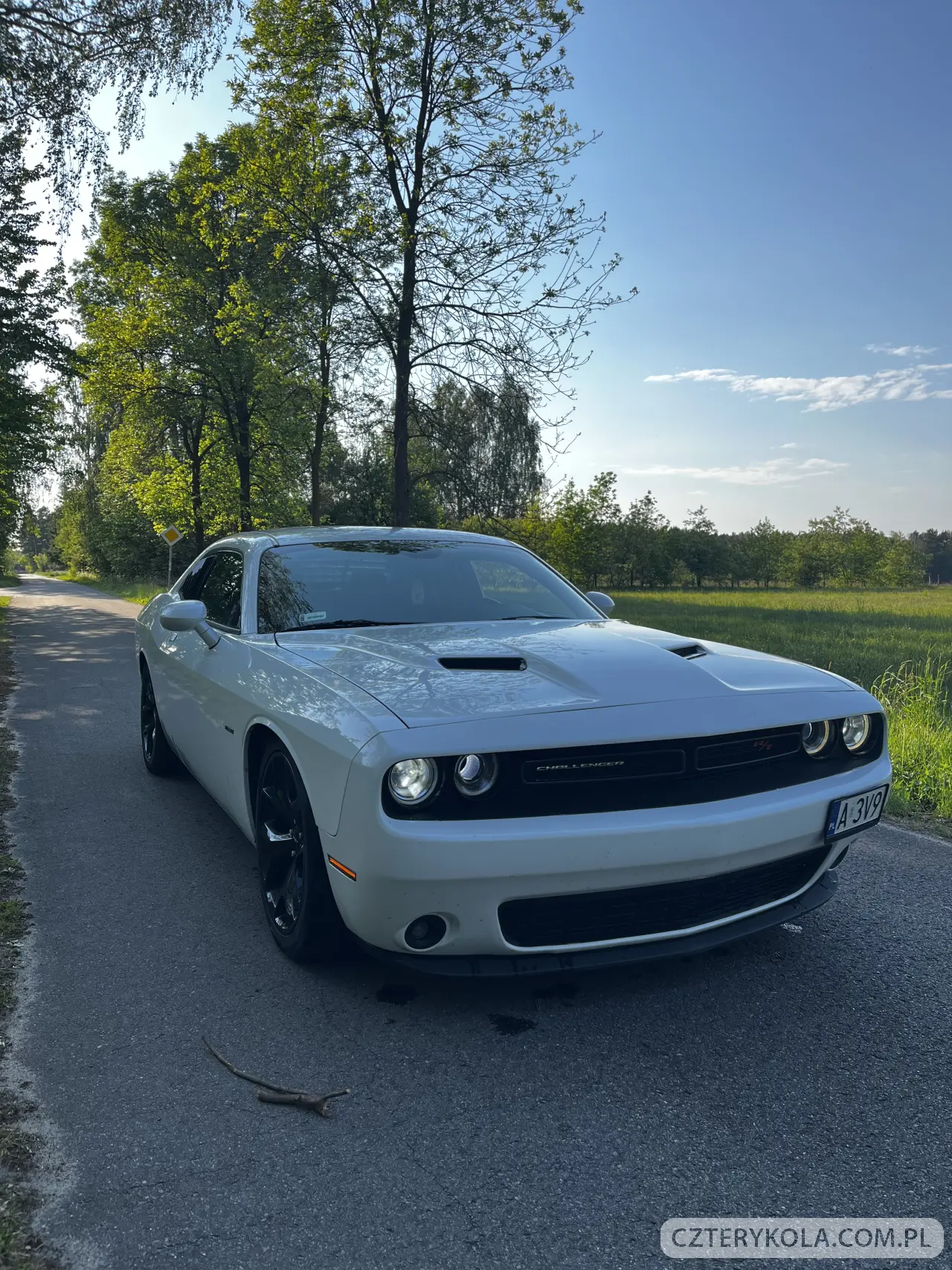 Dodge- Challenger- 2015 