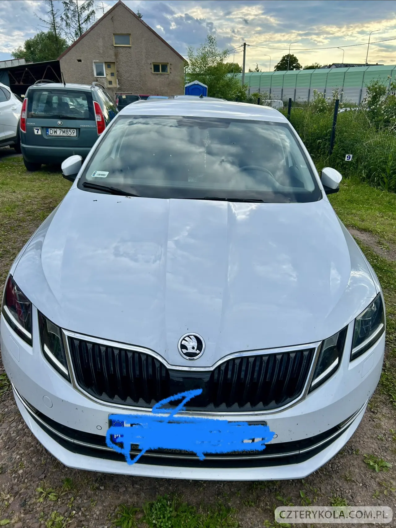 Skoda- Octavia- 2019 