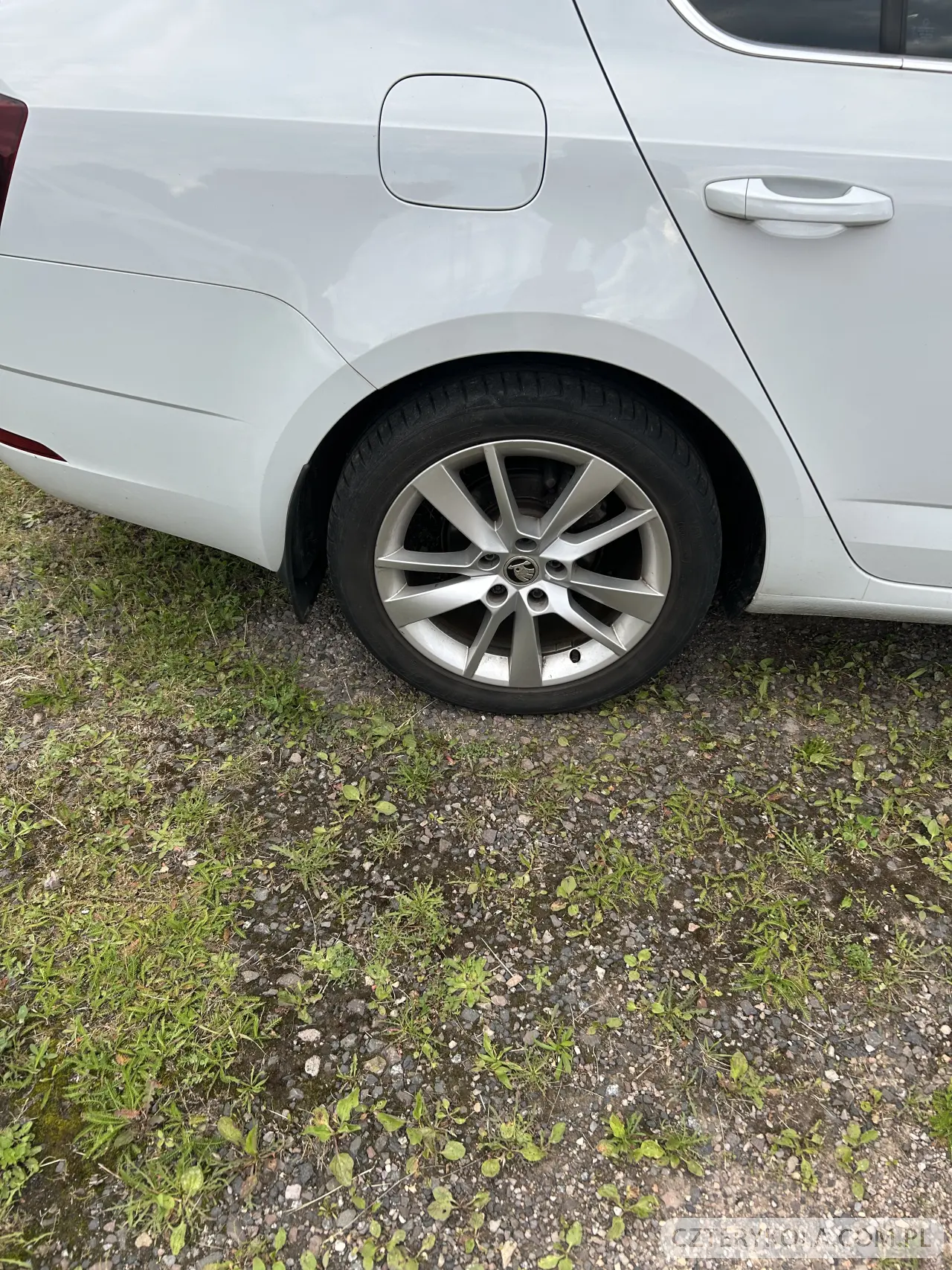 Skoda- Octavia- 2019 