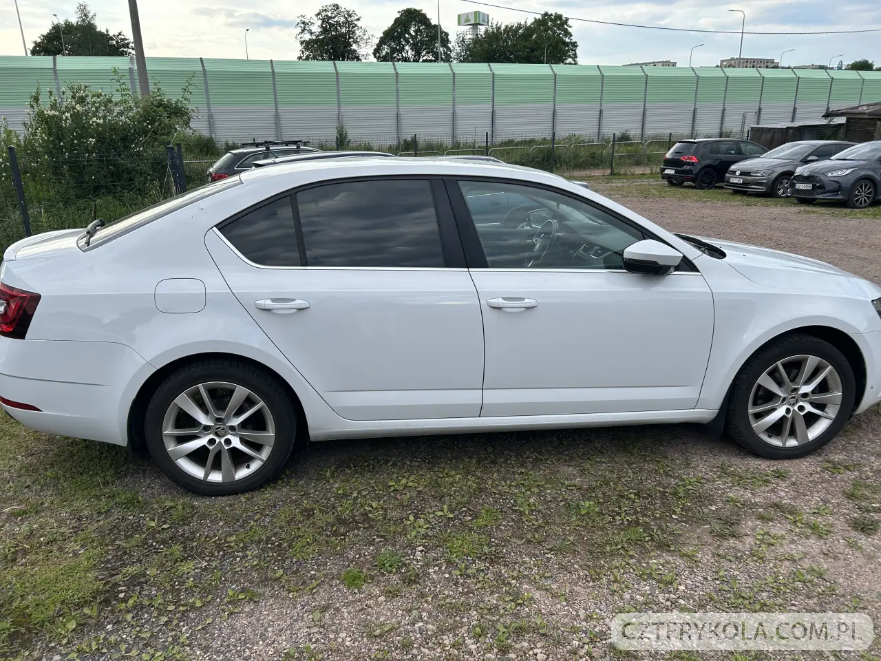 Skoda- Octavia- 2019 