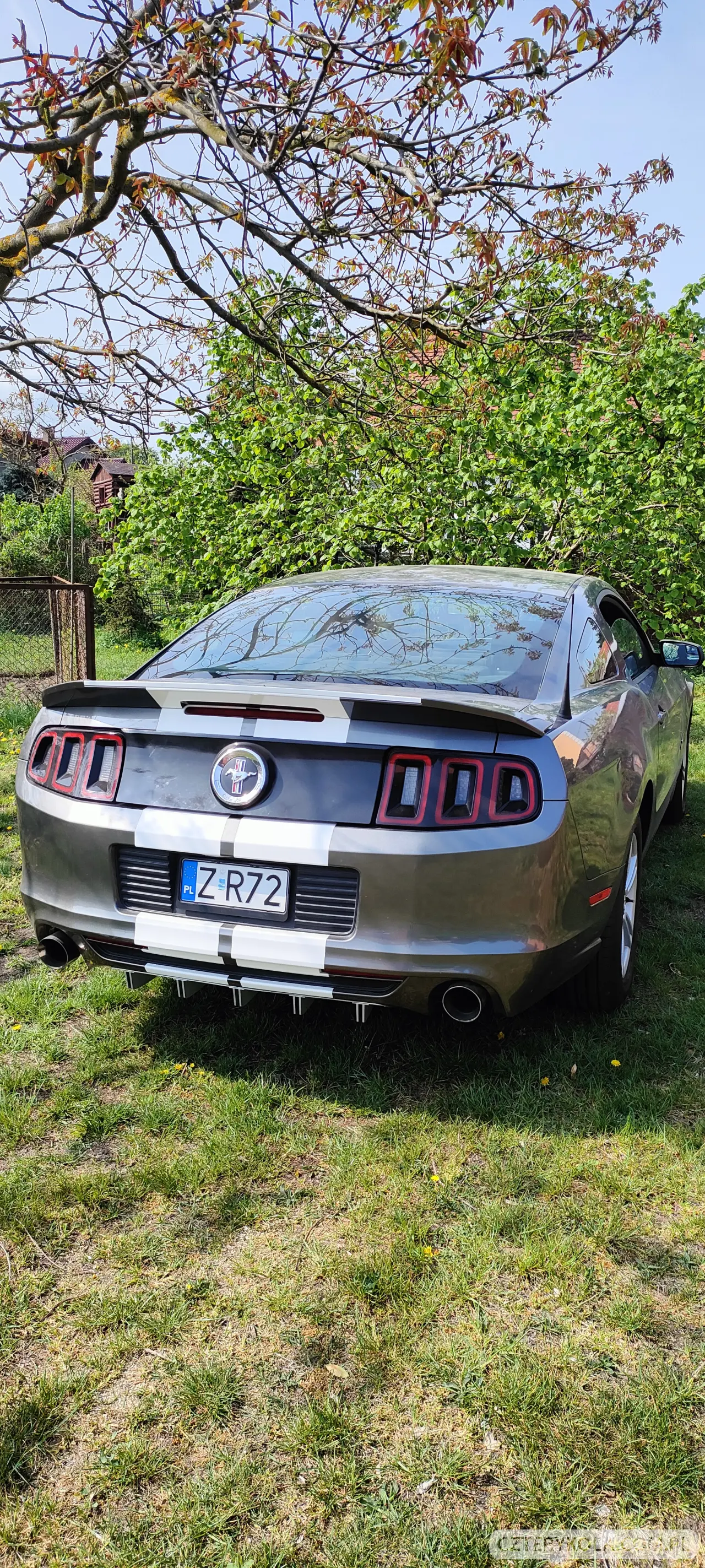 Ford- Mustang- 2014 