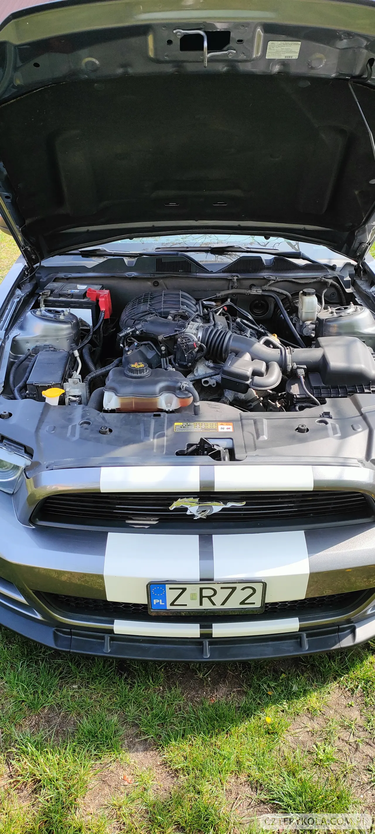 Ford- Mustang- 2014 