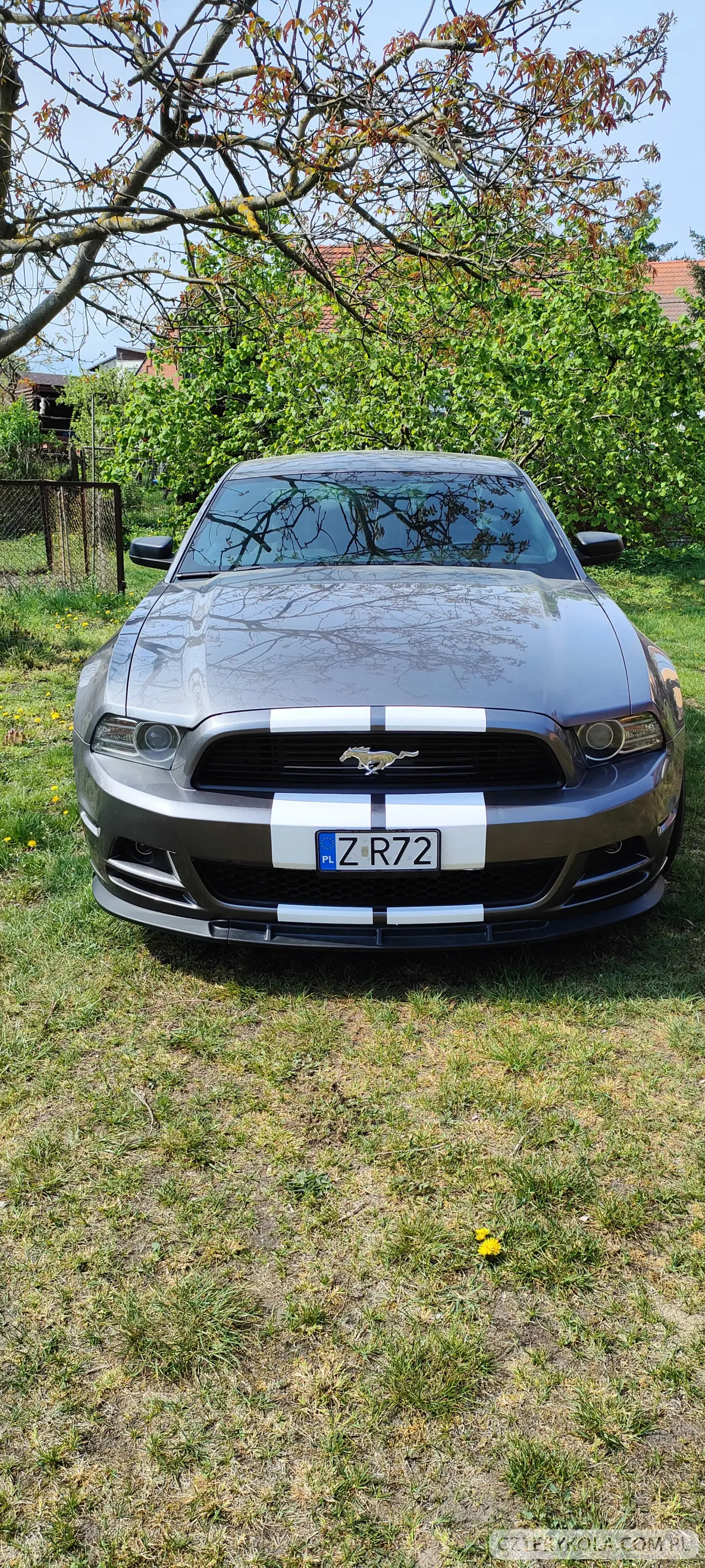 Ford- Mustang- 2014 