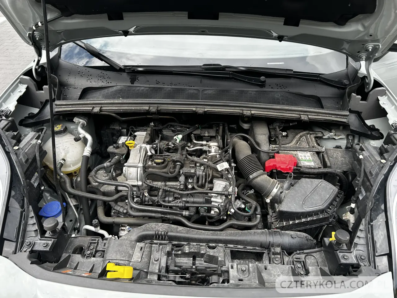 Ford- Puma- 2024 