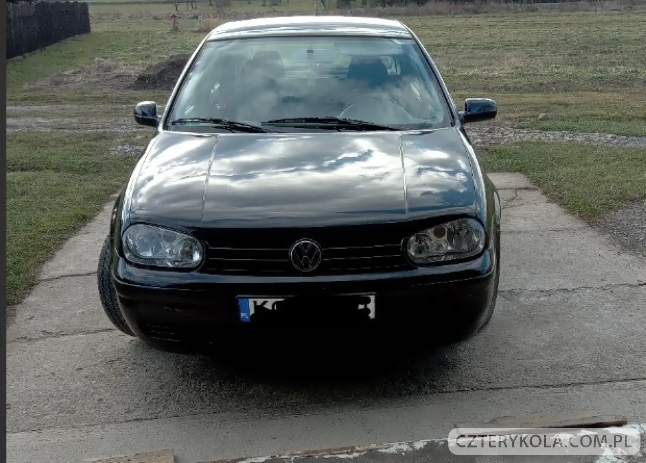 Volkswagen- Golf- 2002 