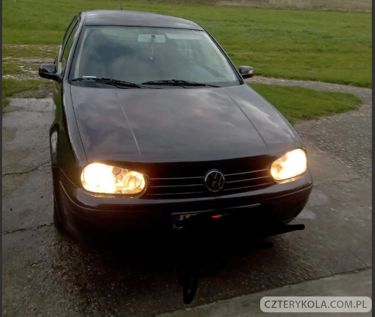 Volkswagen- Golf- 2002 
