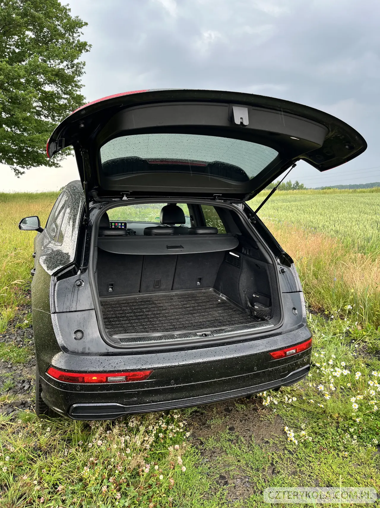 Audi- Q5- 2018 