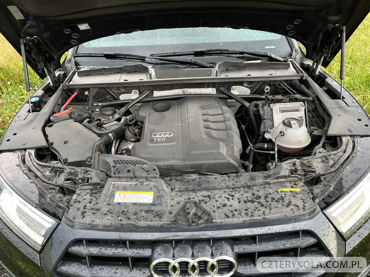 Audi- Q5- 2018 