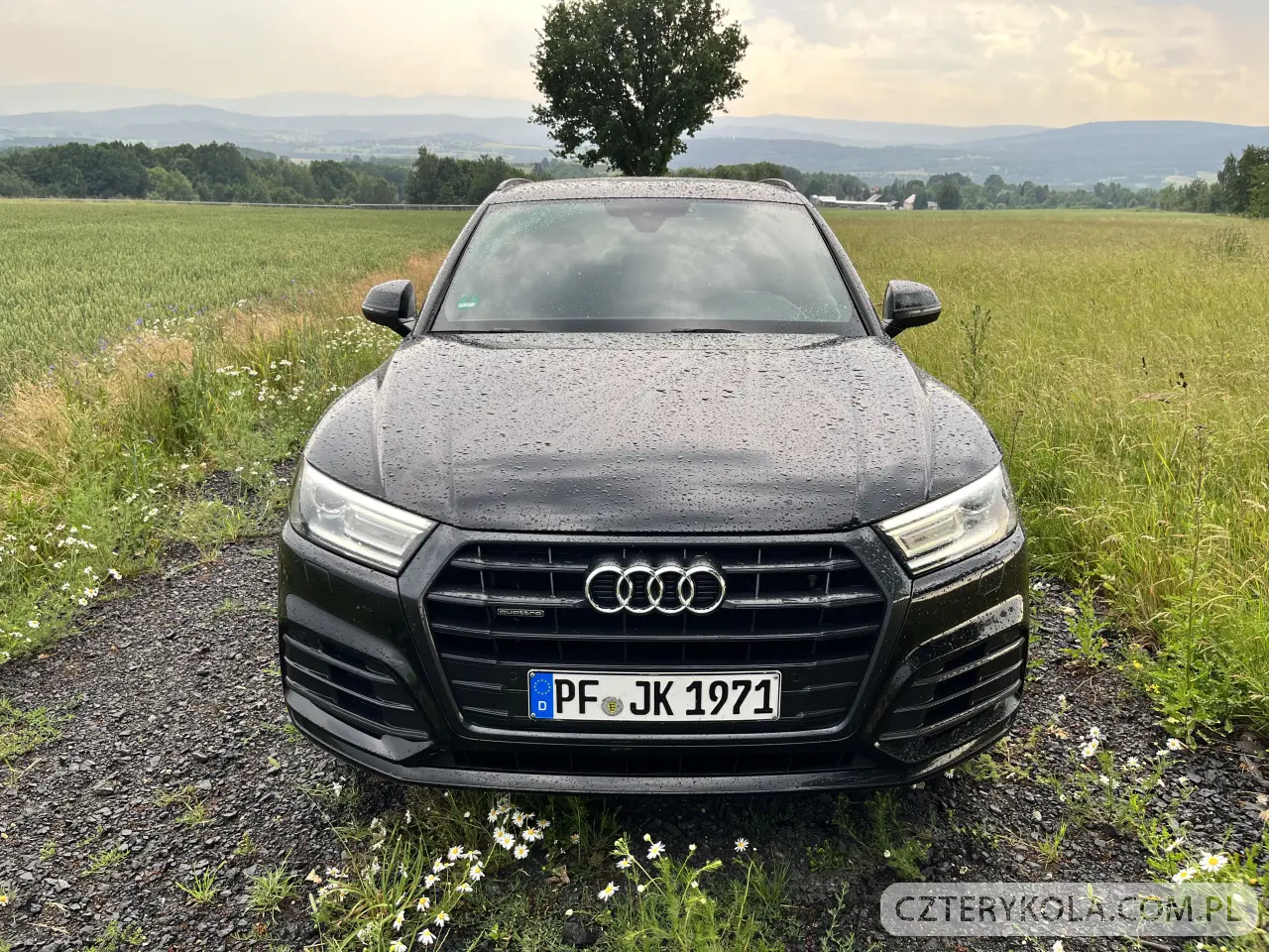 Audi- Q5- 2018 
