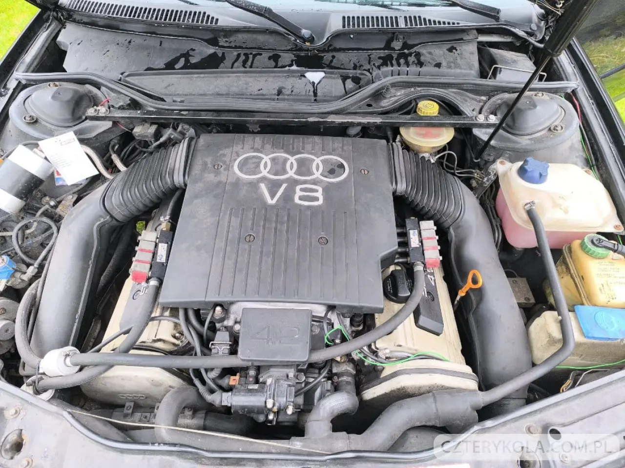 Audi- 100- 1993 