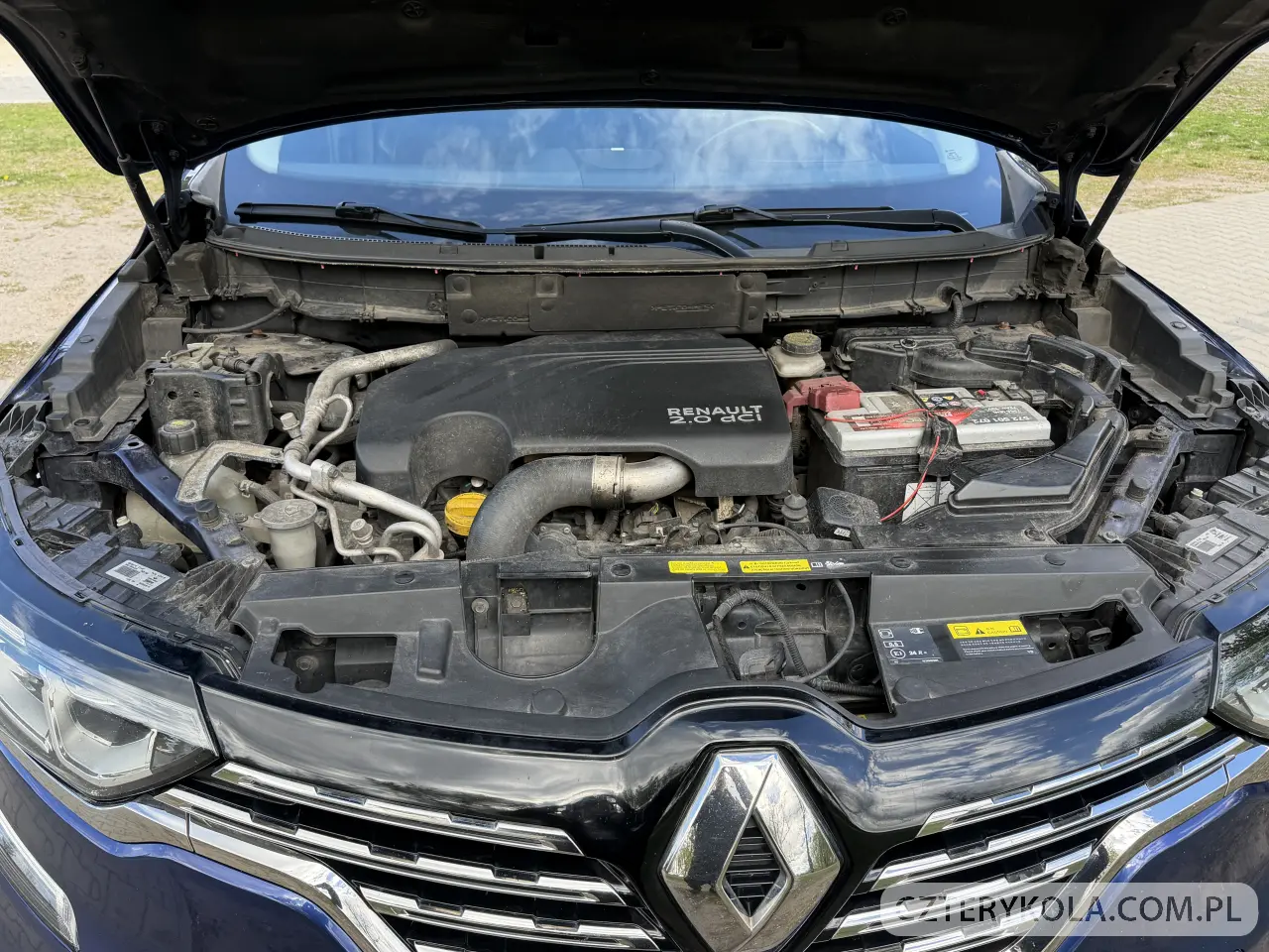 Renault- Koleos- 2019 
