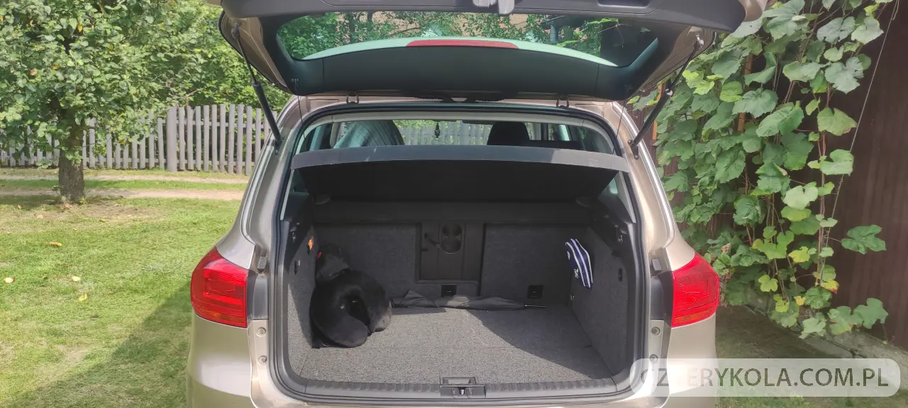 Volkswagen- Tiguan- 2011 