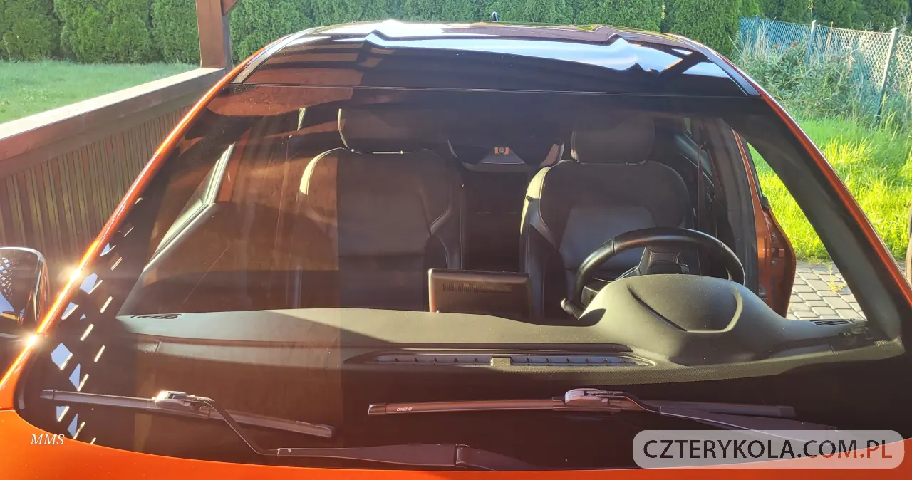 Renault- Inny- 2021 