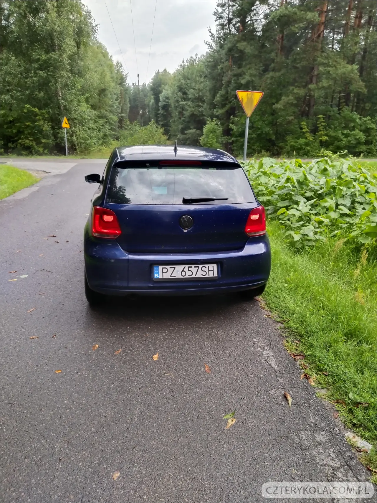 Volkswagen- Polo- 2010 