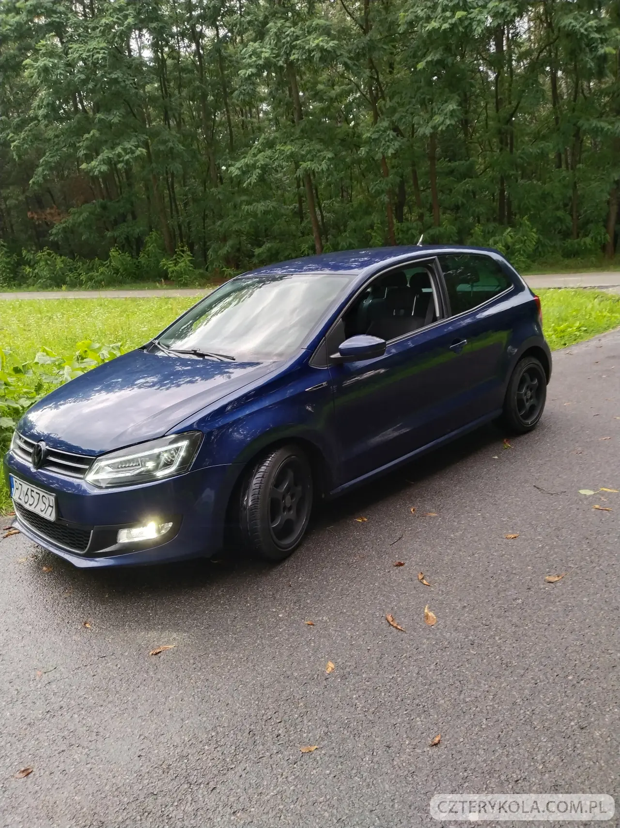 Volkswagen- Polo- 2010 