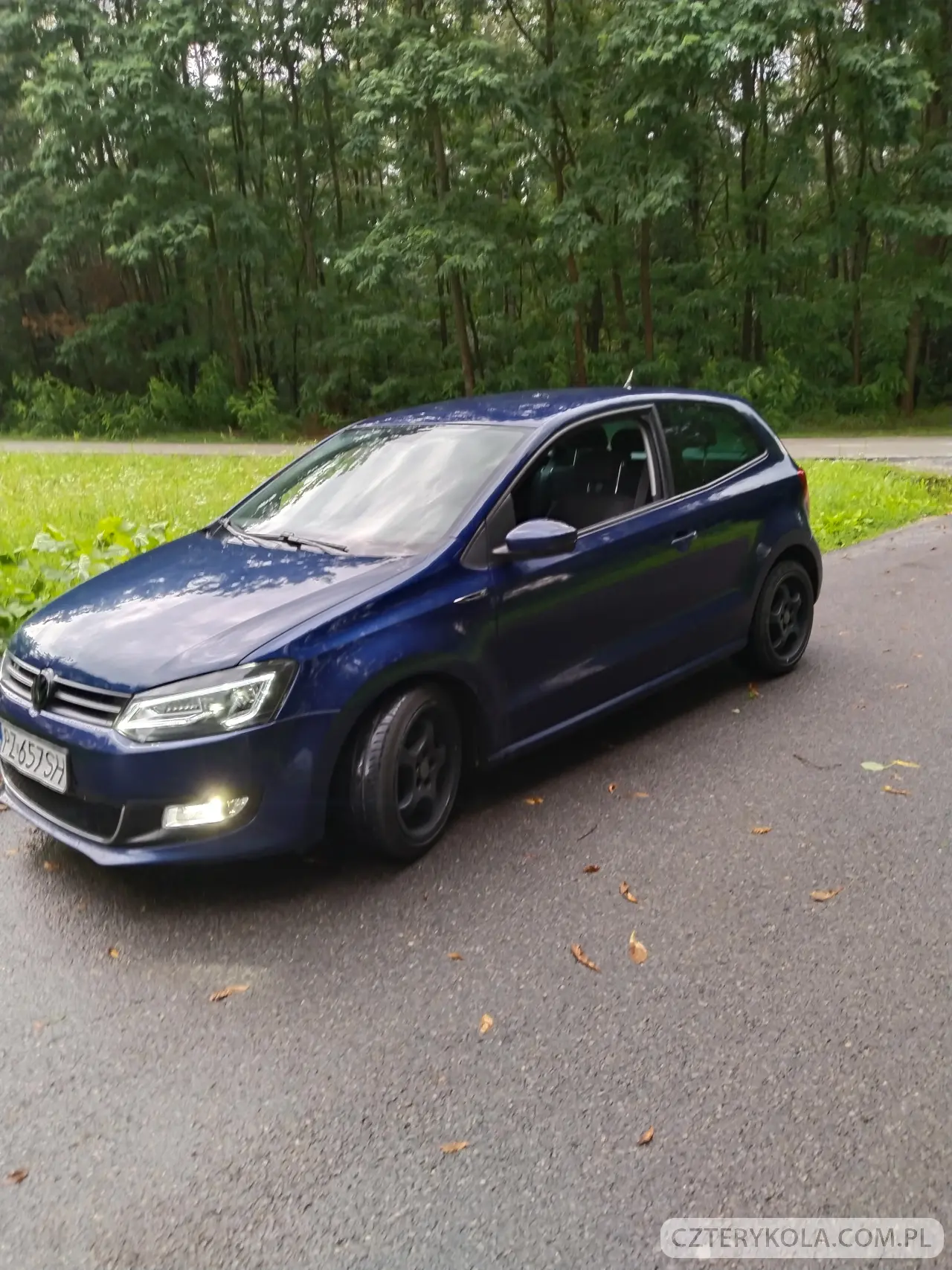 Volkswagen- Polo- 2010 