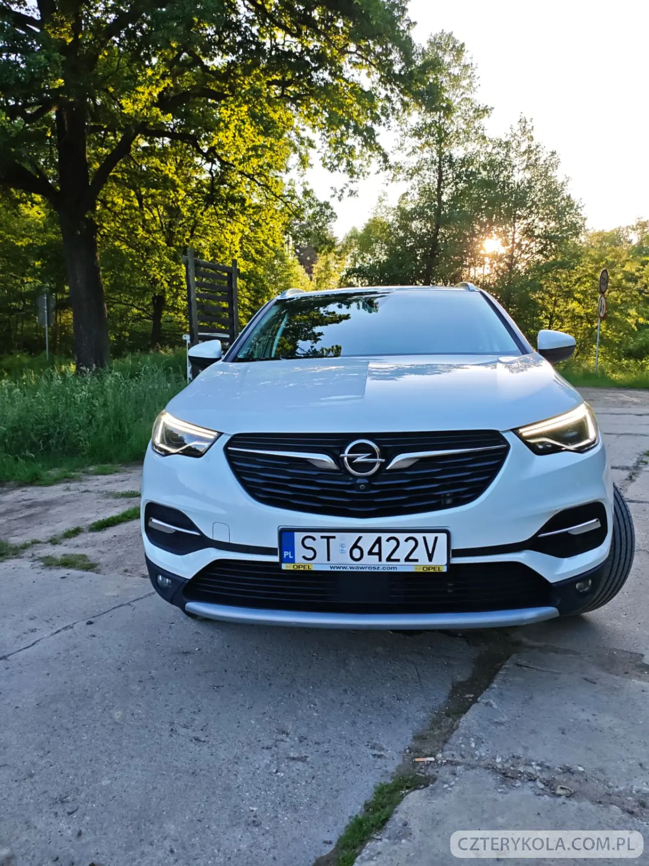 Opel- Grandland X- 2017 