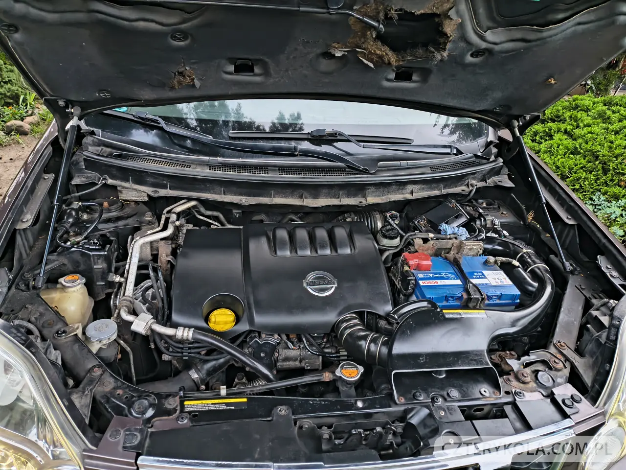 Nissan- X-Trail- 2010 