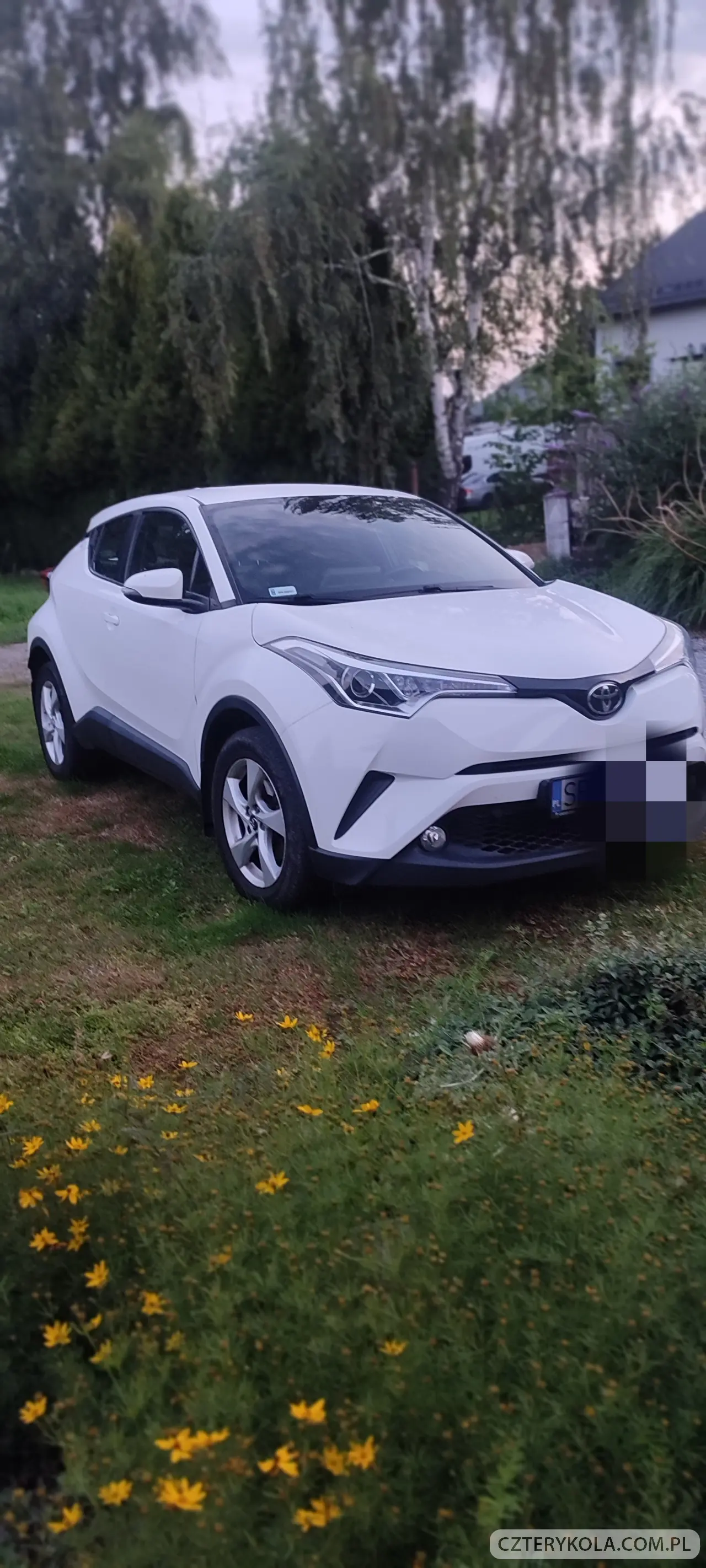 Toyota- C-HR- 2018 