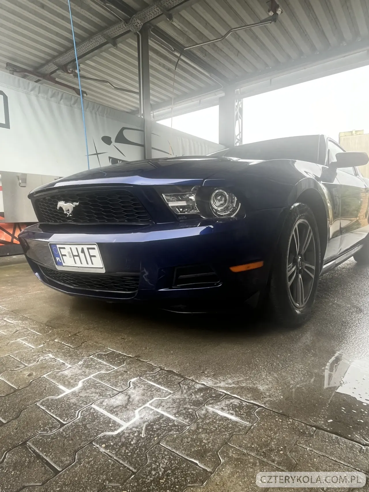 Ford- Mustang- 2012 