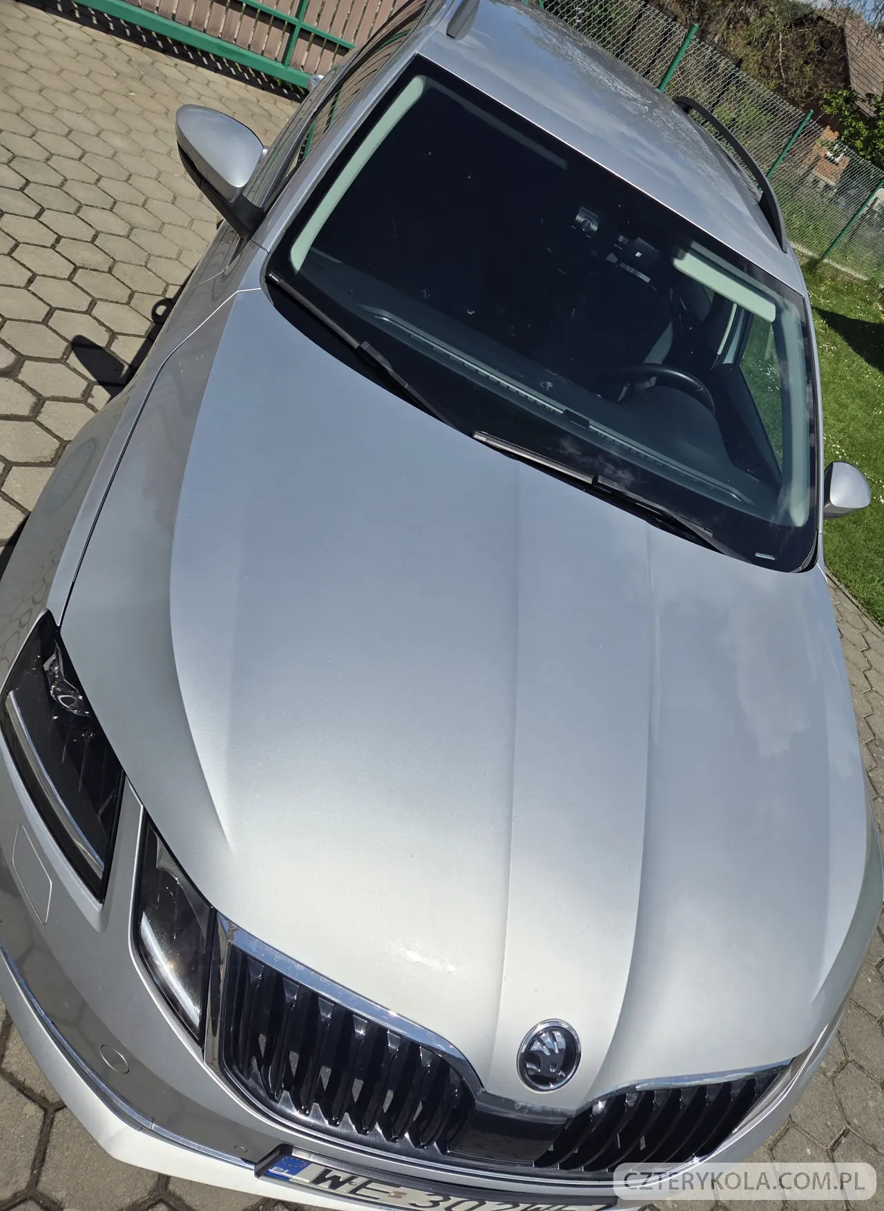 Skoda- Octavia- 2019 