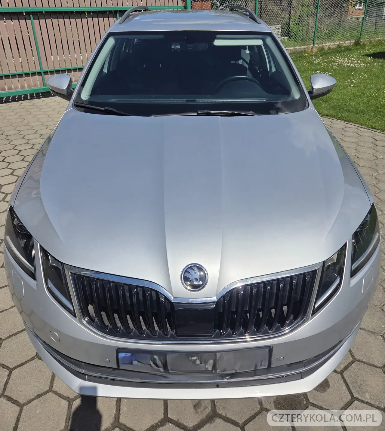 Skoda- Octavia- 2019 