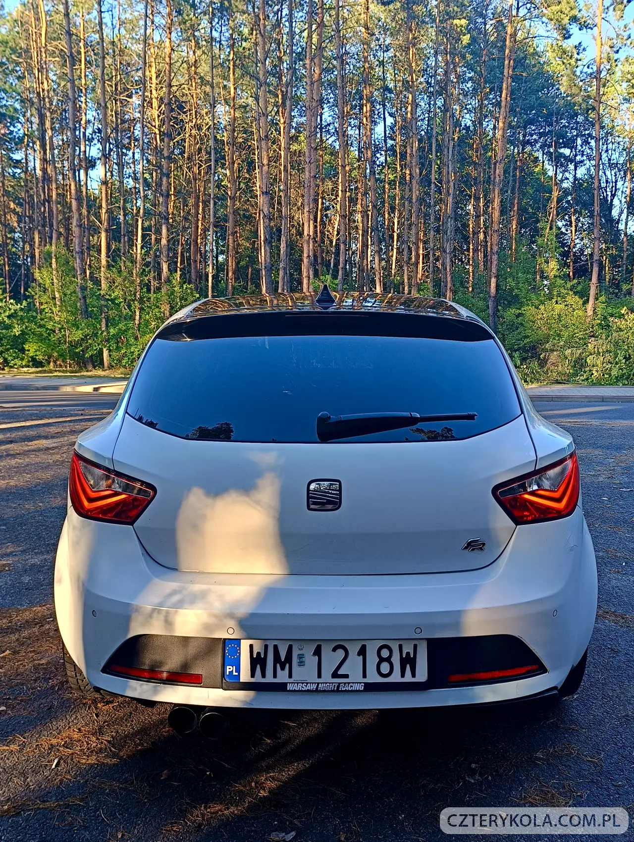 Seat- Ibiza- 2014 