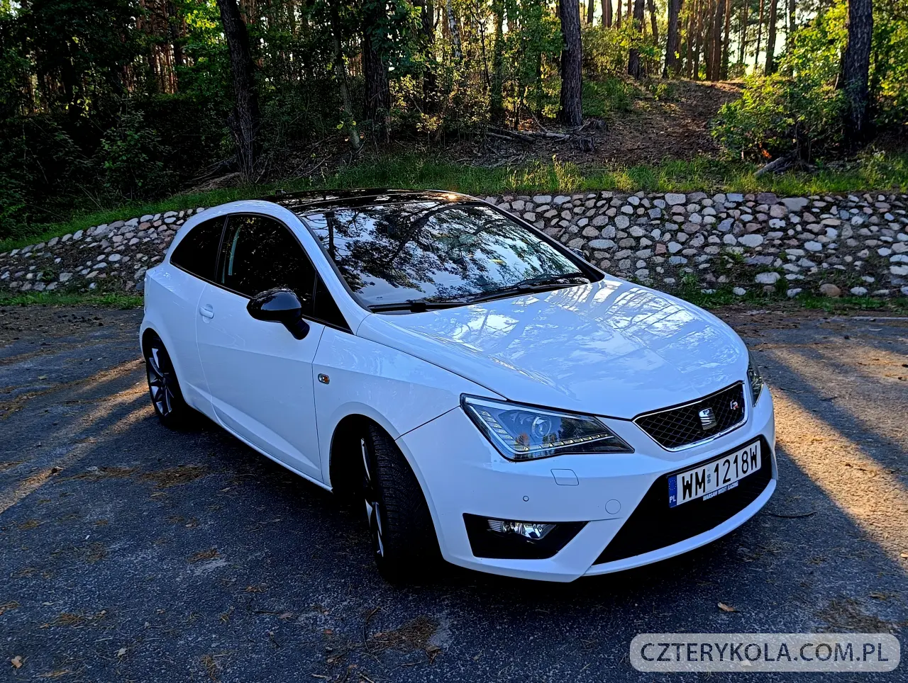 Seat- Ibiza- 2014 