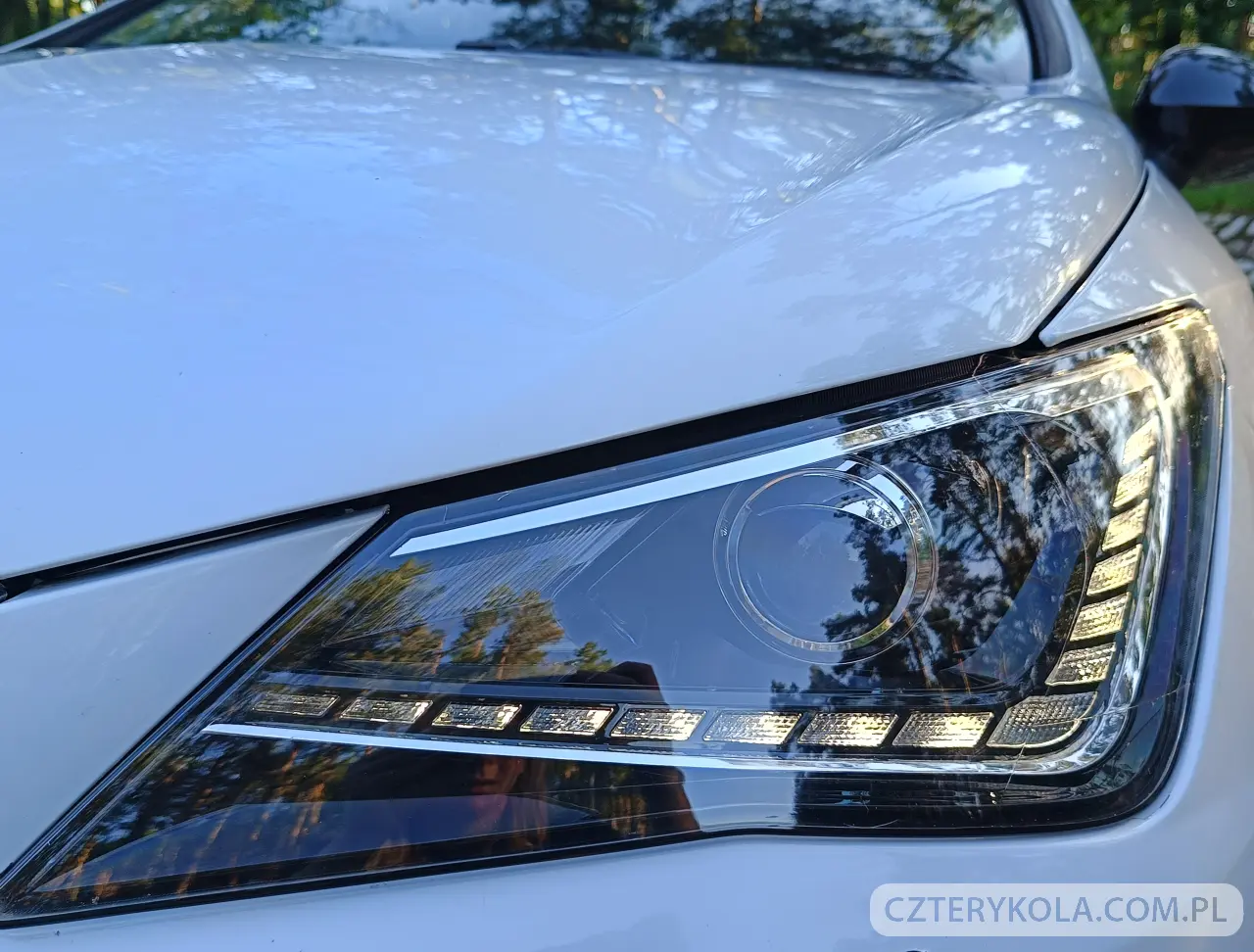 Seat- Ibiza- 2014 